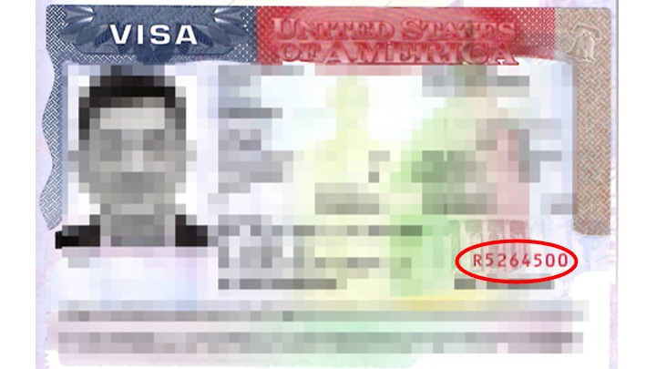 Visa Number 